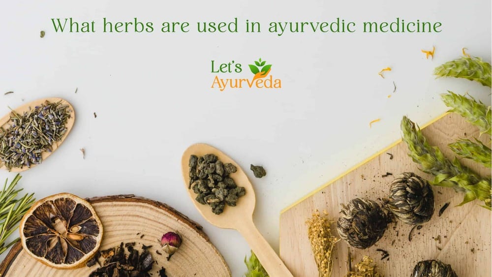 let-s-ayurveda-what-herbs-are-used-in-ayurvedic-medicine