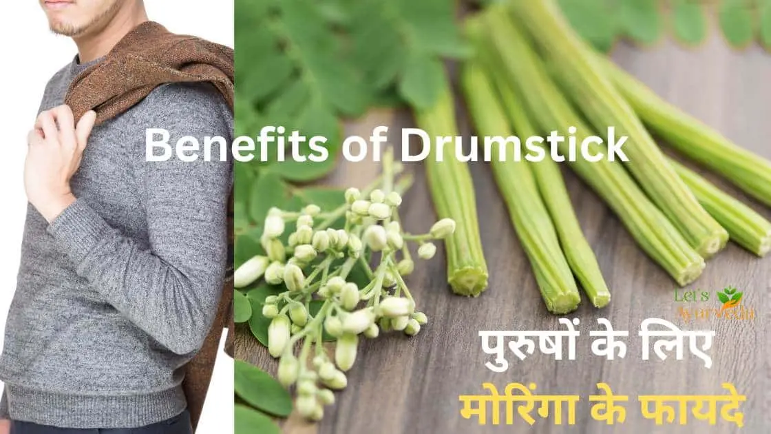 पुरुषों के लिए मोरिंगा (सहजन) के फायदे इन हिंदी Benefits of Drumstick for Men