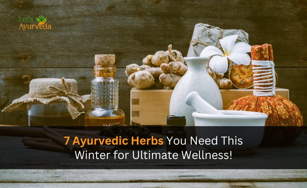 Stay Healthy This Winter: Top 7 Ayurvedic Herbs That Work Wonders